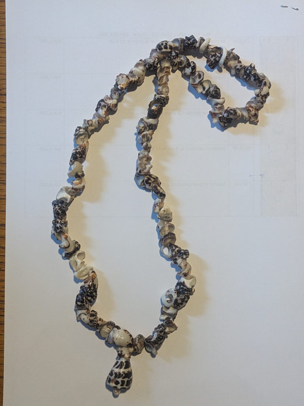 Shell necklace