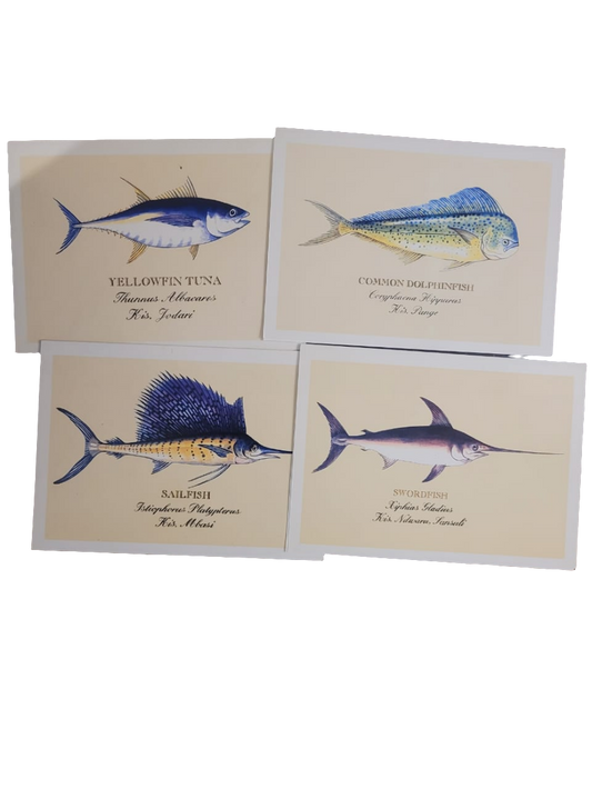 Sardine print cards