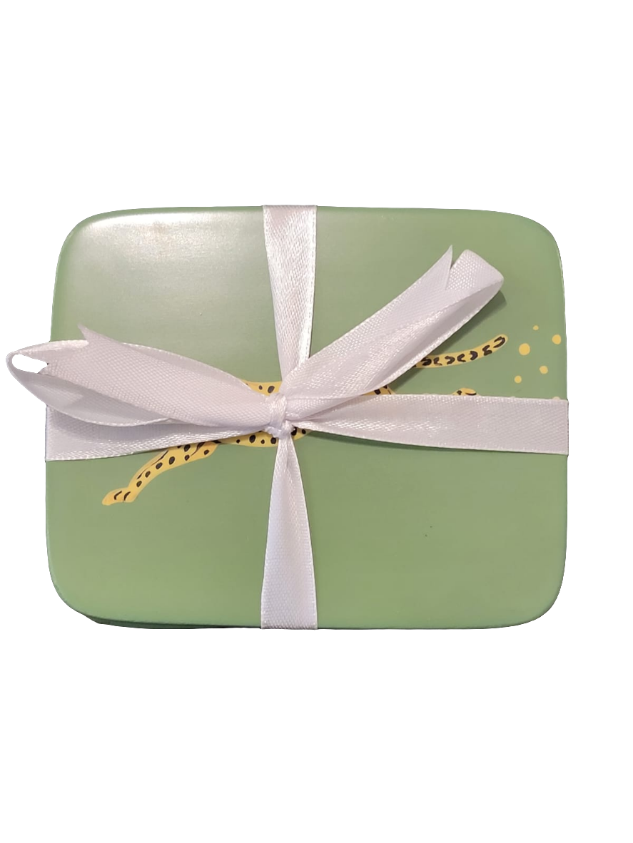 chasing cheetah coaster rectangle