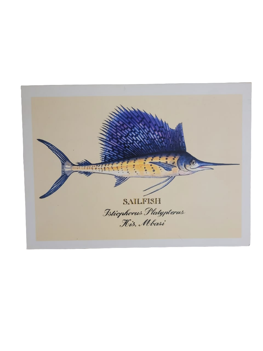 Sardine print cards