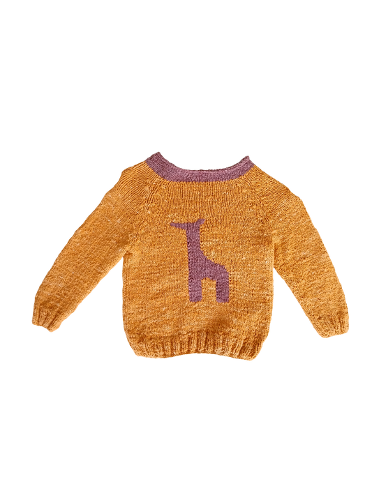 Edeni jumper 4-5yrs 68cm