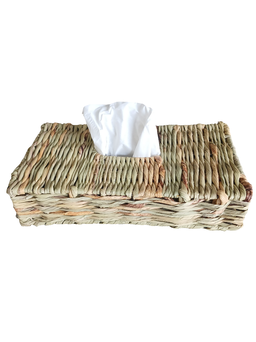 Tissue box holder