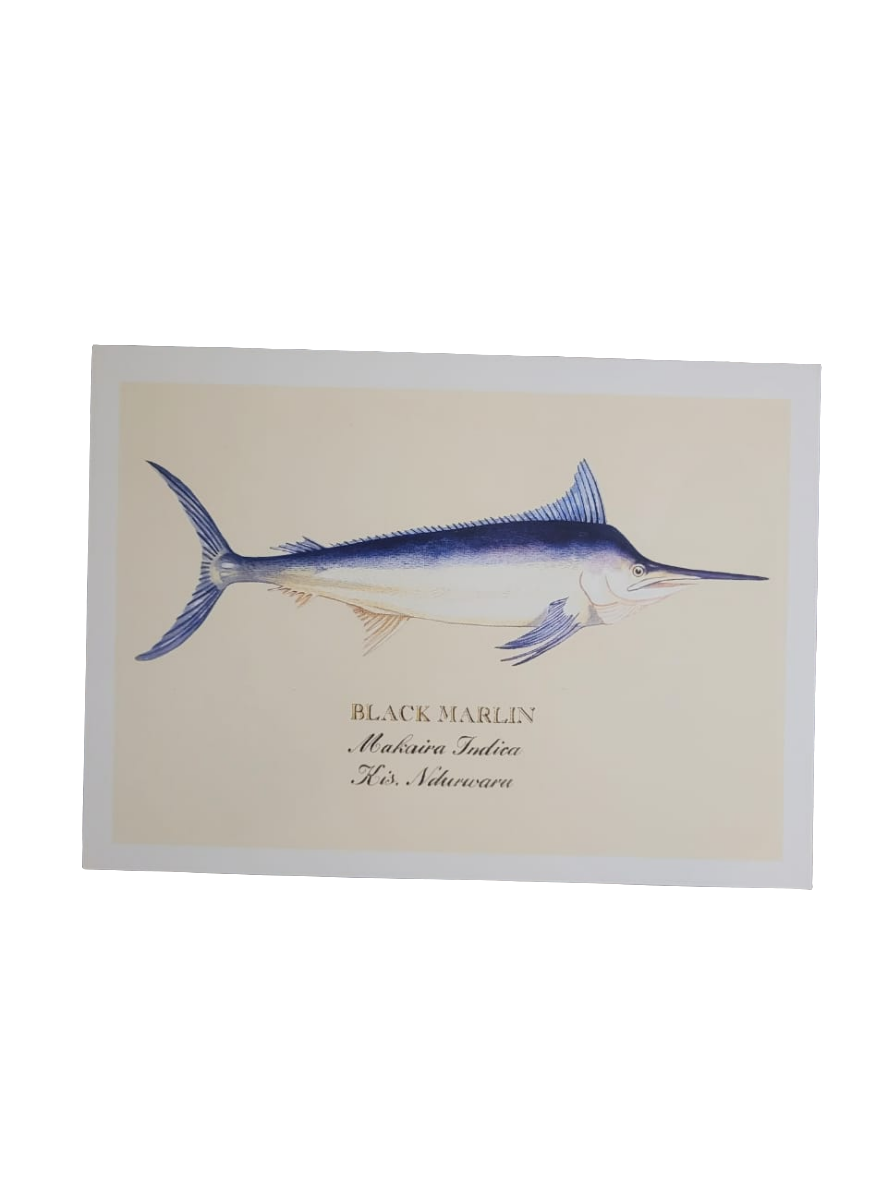 Sardine print cards