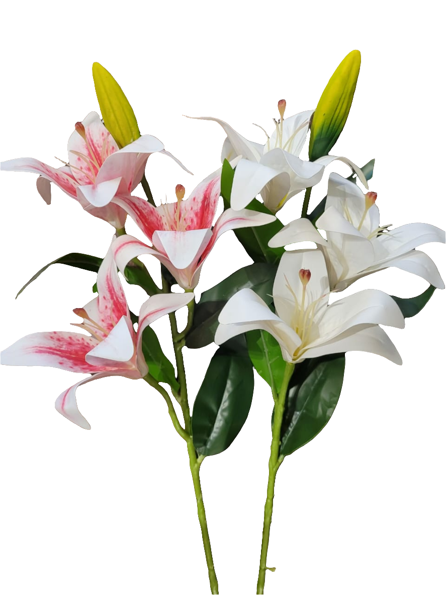 BR LILIES