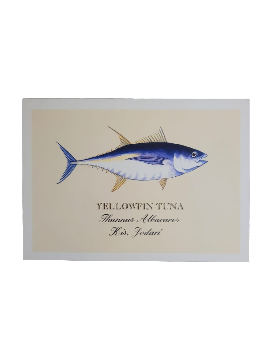 Sardine print cards