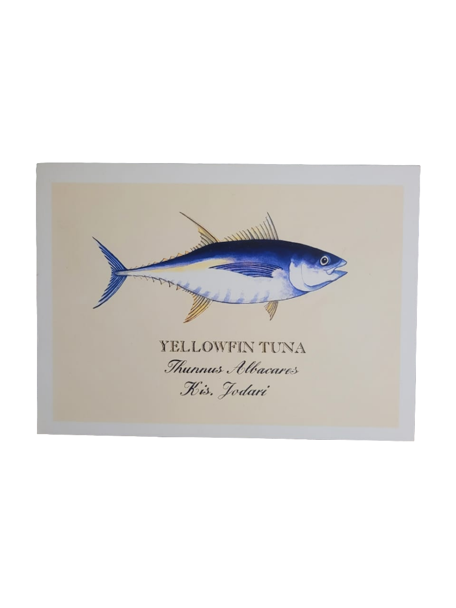 Sardine print cards