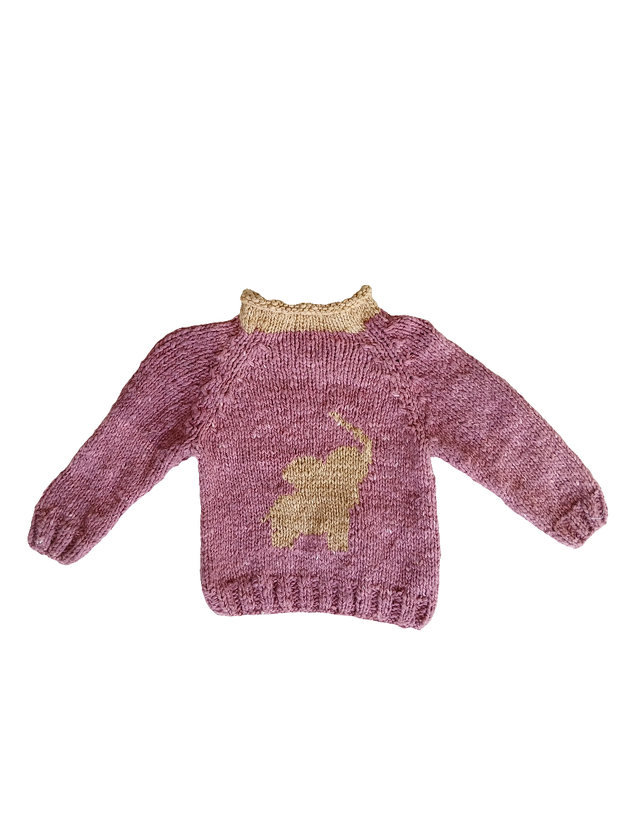 Edeni jumper 6months 52cm