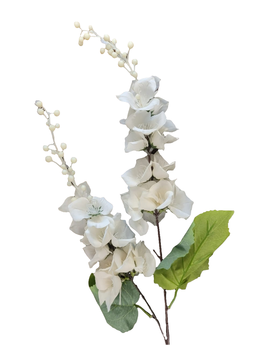 Br white orchids