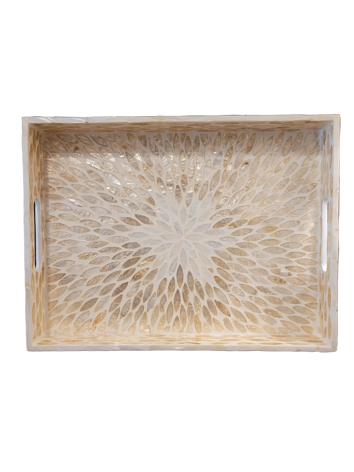 Brown rectangle shell tray