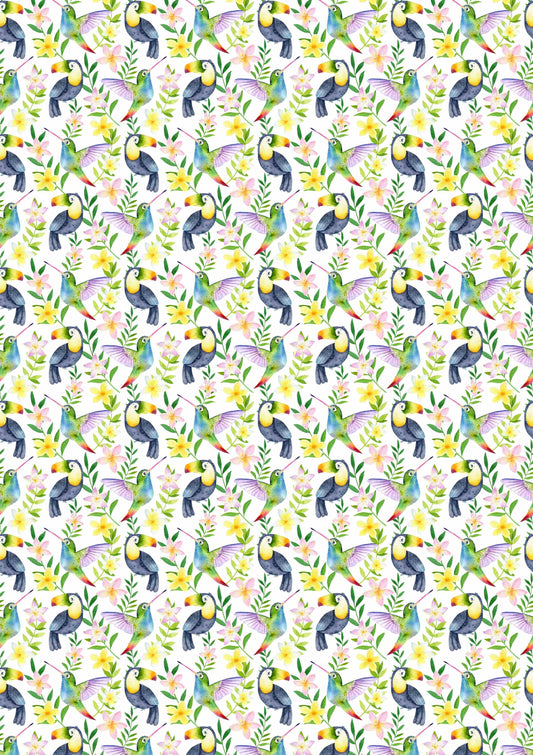 Birds A1 Wrapping paper