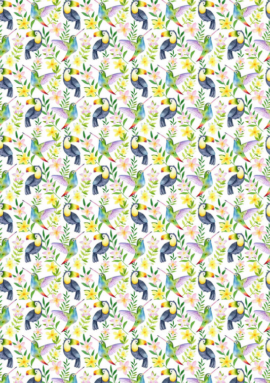 Birds A1 Wrapping paper