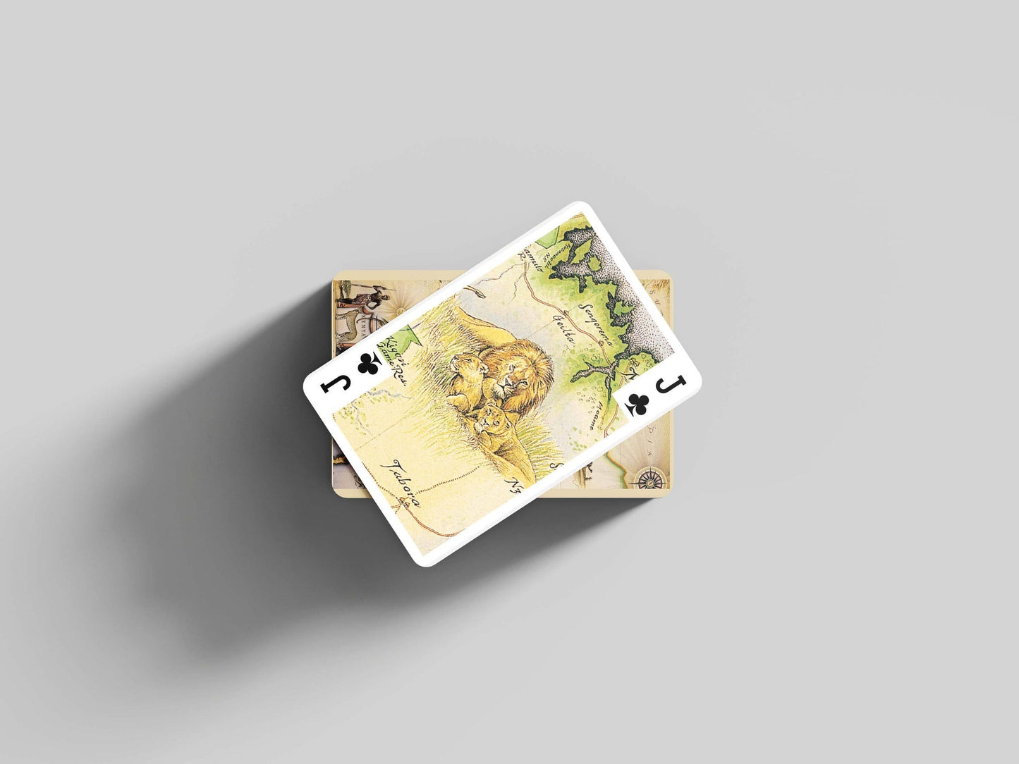 Kenya map playing cards, artist edition deck, from Blue Rhino
