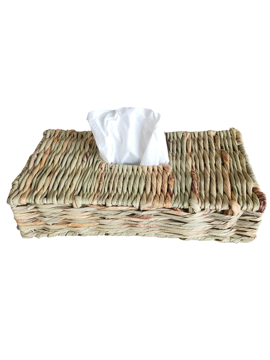 Tissue box holder