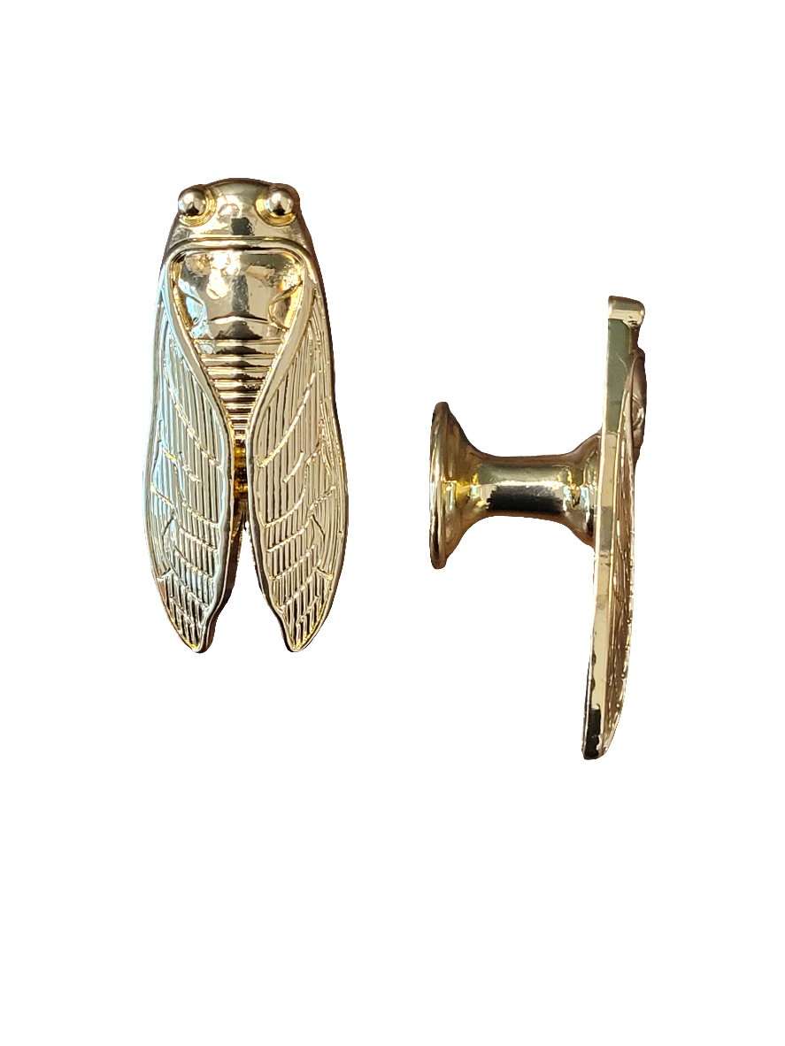 Br Cicada cabinet knob