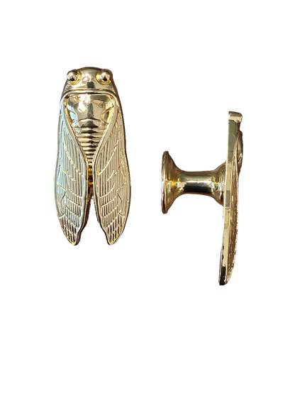 Br Cicada cabinet knob