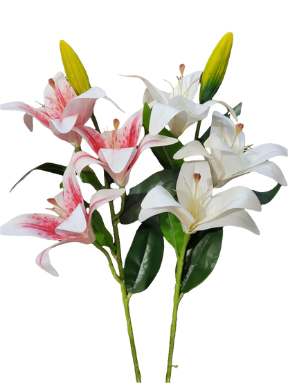 BR LILIES
