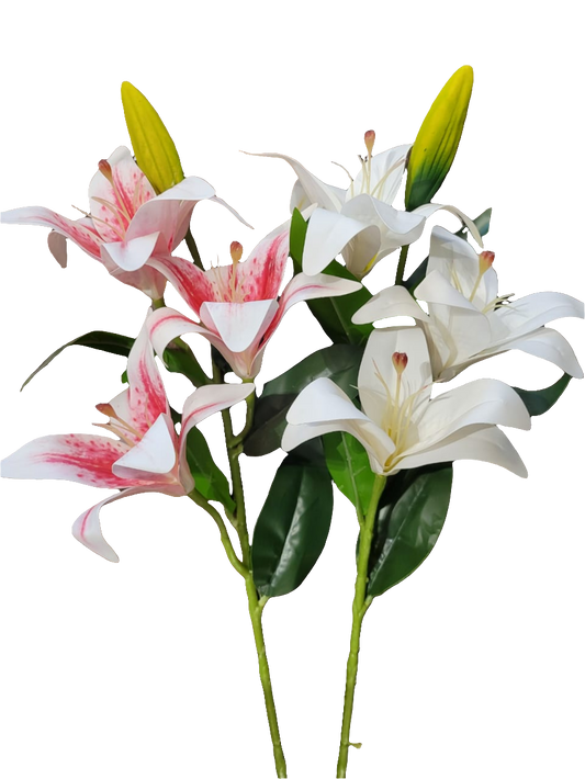 BR LILIES