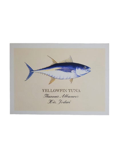 Sardine print cards