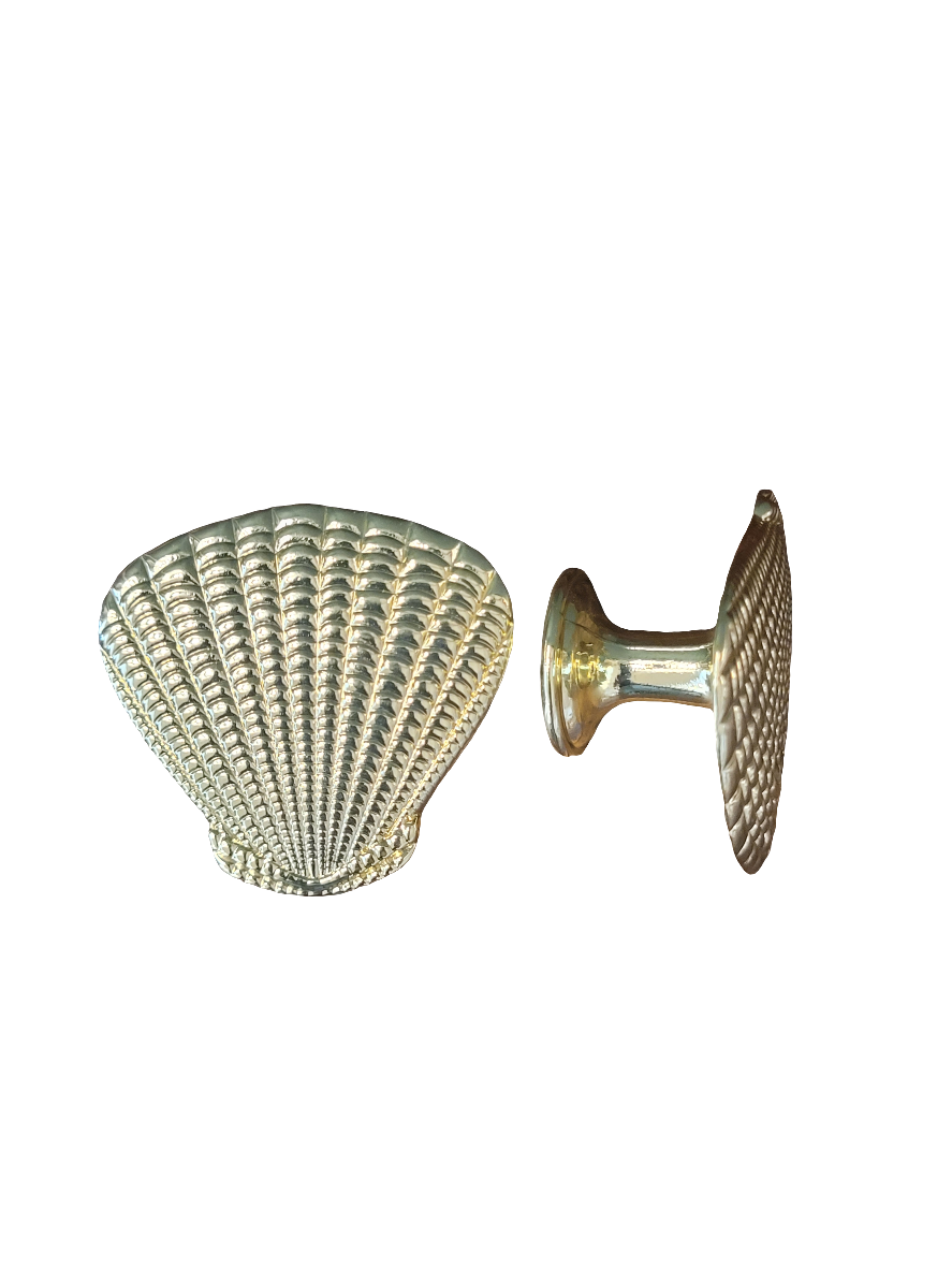 BR SEA SHELL CABINET KNOB