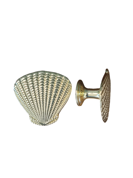 BR SEA SHELL CABINET KNOB