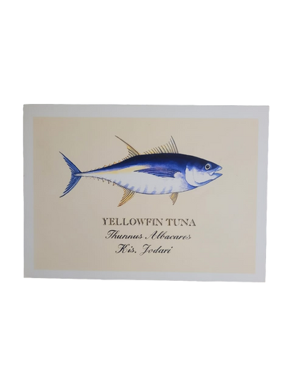 Sardine print cards