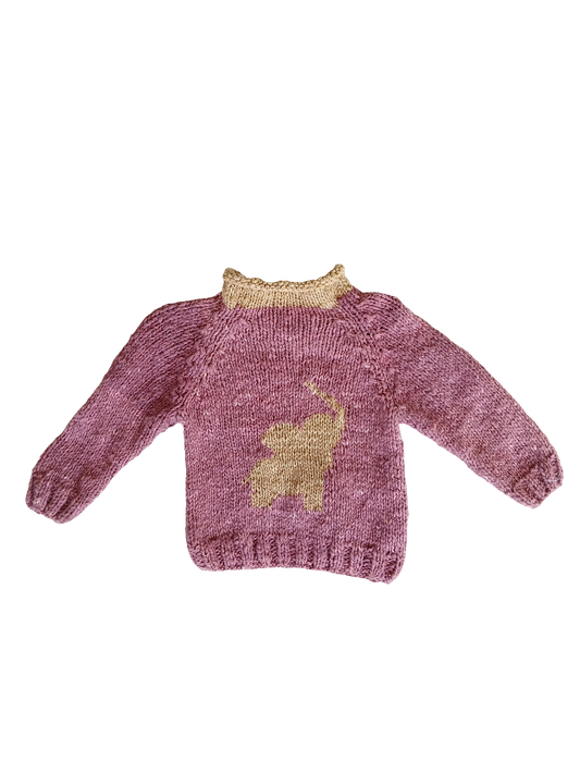 Edeni jumper 6months 52cm