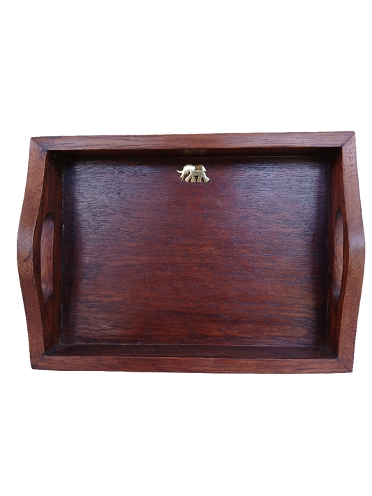 Medium tray with Brass