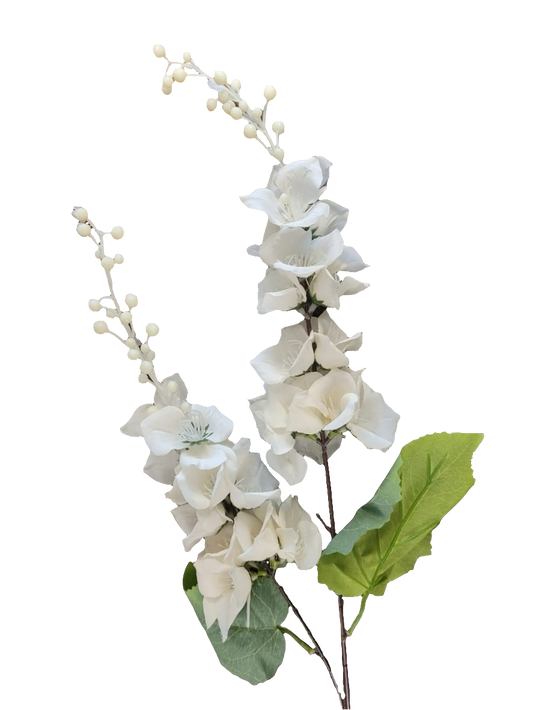 Br white orchids