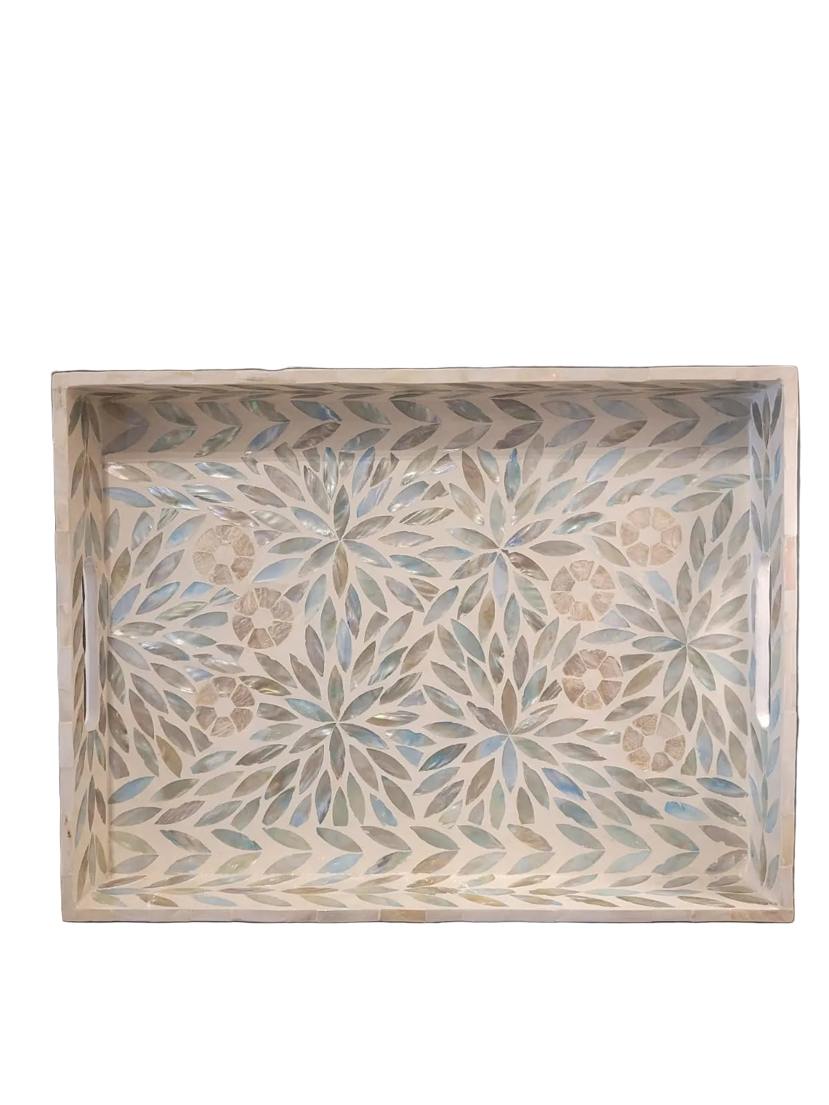 Green rectangle shell tray