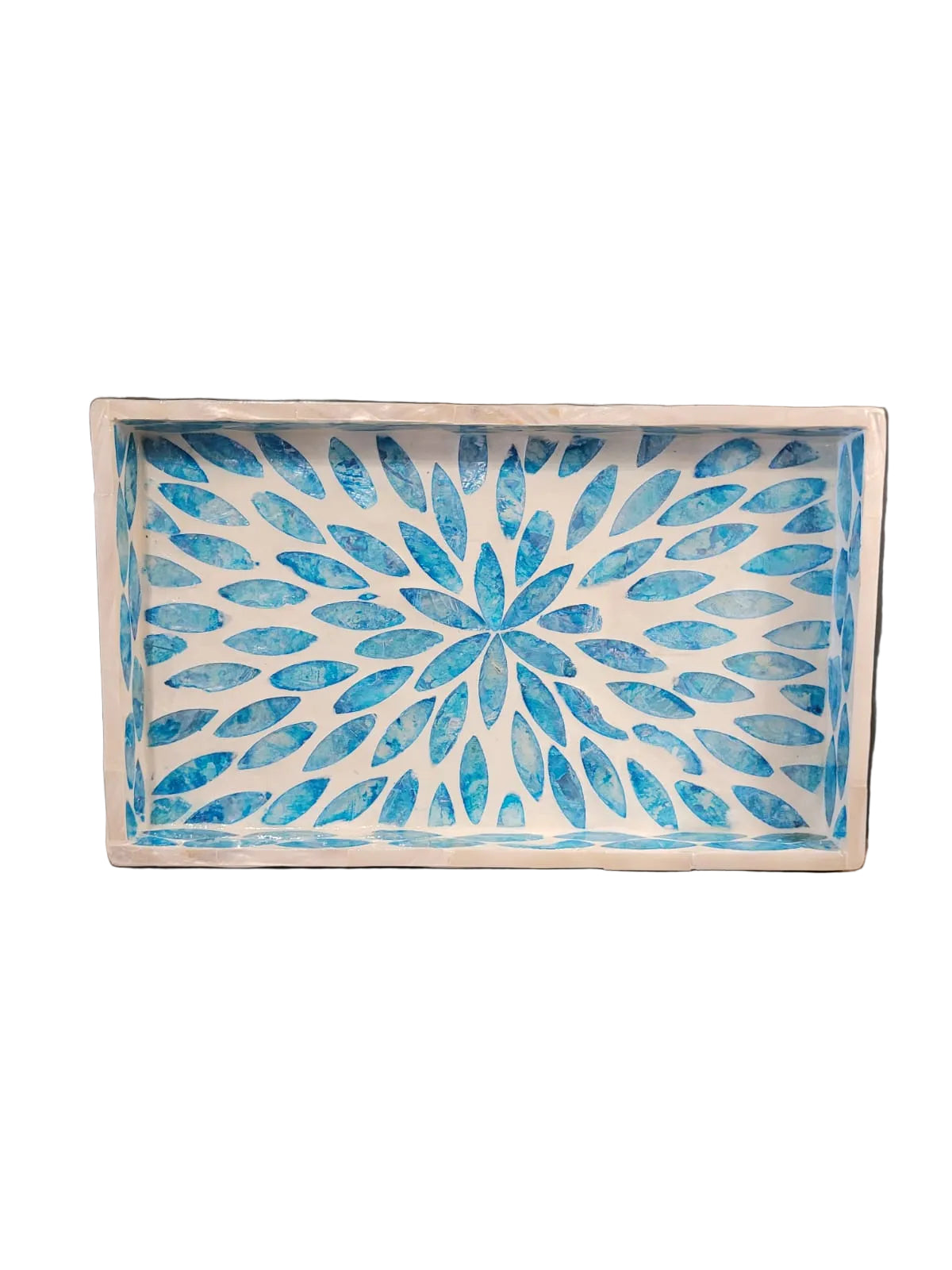 Small rectangle blue shell tray