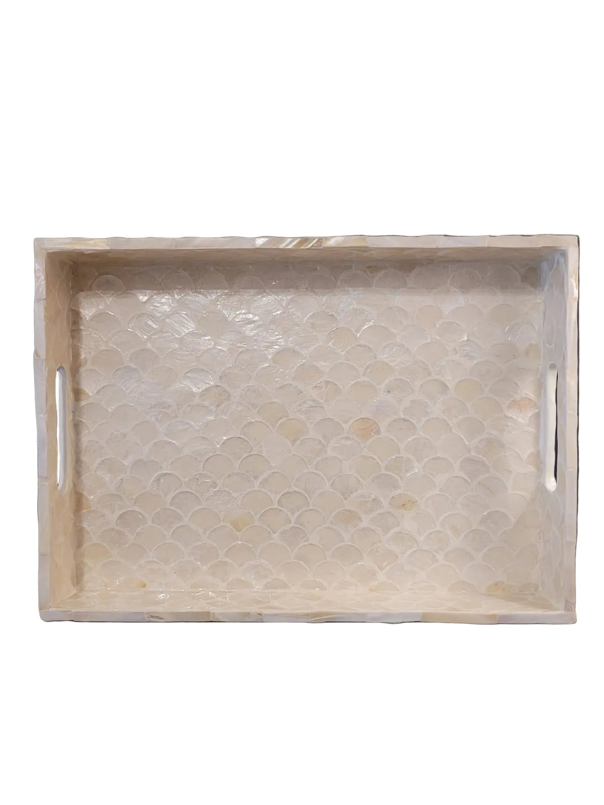 Cream rectangle shell tray