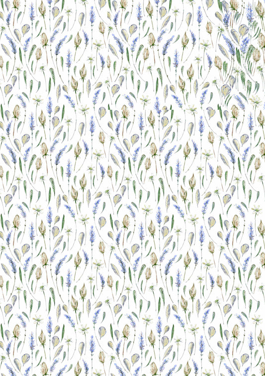 Lavender Fields A1 wrapping paper